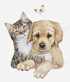 手绘猫与狗 小狗 小猫 狗 猫 猫咪 萌宠 元素 免抠png 设计图片 免费下载 页面网页 平面电商 创意素材