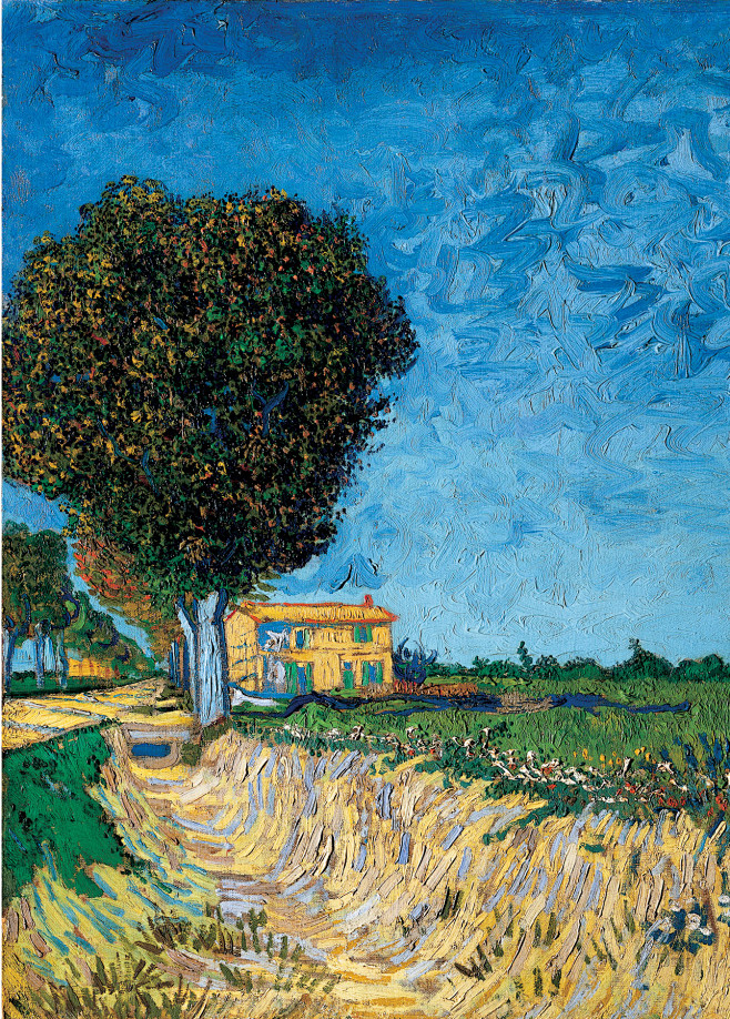 Vincent_van_Gogh_-_A...