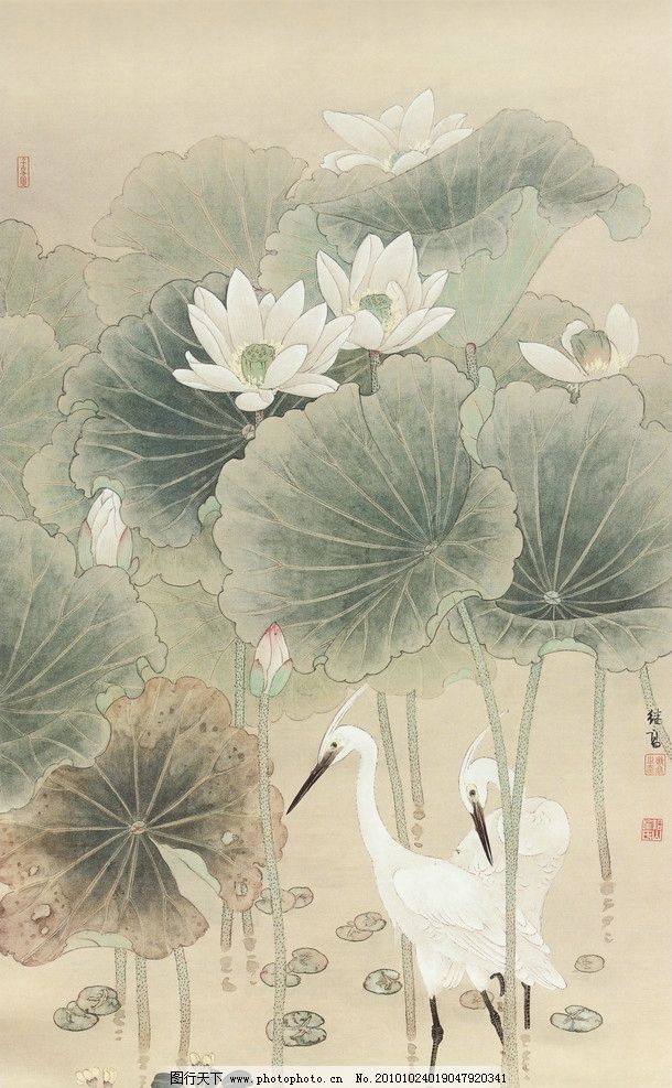 秋荷白鹭工笔画线描国画中国画植物树木大师作品风景画工笔画花草花鲜花