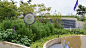 康复型空间 | 紫色屋顶 - 泰国最大的屋顶康复疗养花园 / LANDPROCESS