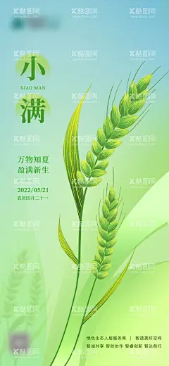 小满节气海报  - 源文件下载【酷图网】海报,地产,二十四节气,小满,清新,麦子,
