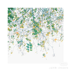 羡羡的小耳朵喔采集到光影 色彩