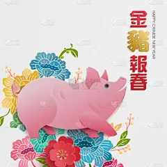 春节,图表设计师,传统,贺卡,中文,新年前夕,猪,动物,绘画插图,标签