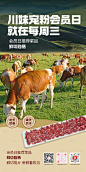 会员日推荐菜-源文件分享-ywjfx.cn
