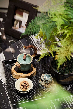 不知名网友o_o采集到茶
