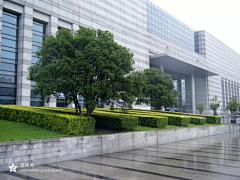 魔鬼在细节采集到景观植物