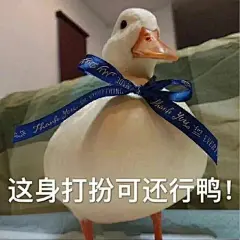 热门 - 热门微博 - 微博 _行走的表情包_T2022118 