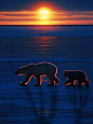 Georgios Pasxalidis - Google+ - Arctic Sunset