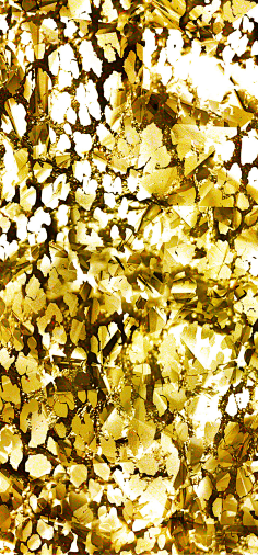 一不小心会迷失的金色