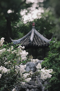 叮叮的当当咯采集到景