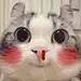 RZsfDhlV