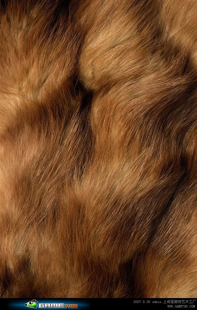 动物皮毛材质贴图素材