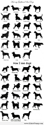 How I see dogs