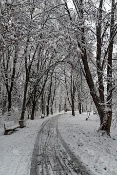 雪,城市,保加利亚,冬天,索非亚,地形,非凡的,南方公园,气候,寒冷