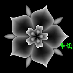 用户SYh23vTL采集到花