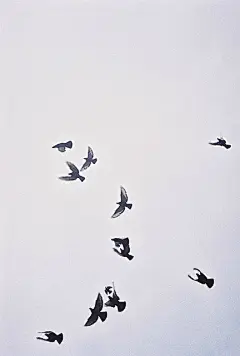 手机壁纸：各样壁纸让你眼前一亮 手机才是一直陪伴你的_看图_空间素材吧_百度贴吧