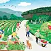 
O爸在溪泉山种下了山稔、油甘、蓝莓、桑葚、无花果和香水柠檬，这些小果仔不仅保健营养价值超高，而且抗性很强，不必依赖农药他肥生长。
