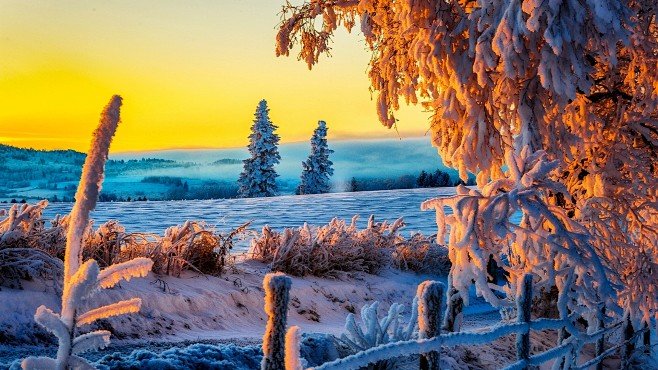 冬天图片 雪景 最美图片