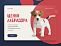 Puppies for Sale banner