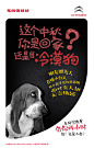 冷漠狗