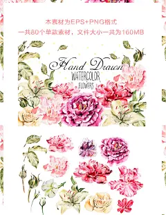 国外手绘水彩月季百合清新植物四方连续底纹图案eps+png格式素材