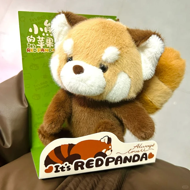 新宝宝是超可爱的小熊猫