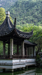 热门 - 热门微博 - 微博