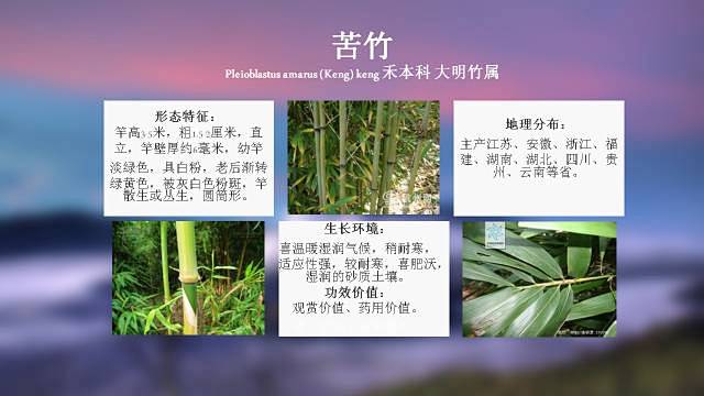 100种 · 常用园林植物，图文并茂 :...