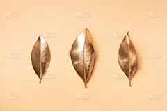 叶子,黄金,留白,秋天,请柬,情人节,夏天,天气,概念,婚礼