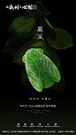 【源文件下载】 海报 房地产 二十四节气 夏至 蝉  翡翠 