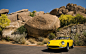 汽车 法拉利275 GTS 2560 x 1600 | 美图每周 PicperWeek.com