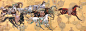 赵文元绘画作品欣赏-2 - 李梨 - 李梨