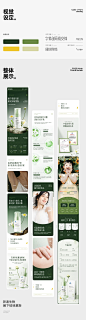 拜迪生物 (17)