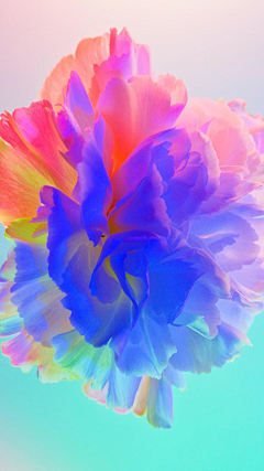 Edith31采集到COLOR