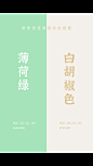 双色搭配