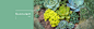 banner-多肉-V1.0