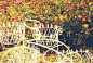 紫海鹭缘浪漫庄园旅游图片,紫海鹭缘浪漫庄园自助游图片,紫海鹭缘浪漫庄园旅游景点照片 - 蚂蜂窝图库 - 蚂蜂窝