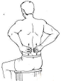 【补肾的简便功法】肾为先天之本，与膀胱相表里。肾藏精，主水，在体合骨，其华在发，肾精足，则精力充沛，神思敏捷，记忆力增强，筋骨强健，行动轻捷。按摩方法：两手掌对搓至手心热后，分别放至腰部，手掌向皮肤，上下按摩腰部，至有热感为止。早晚各一遍，每遍200次。可补肾纳气。肾气足人更聪明。