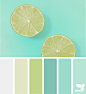 Citrus Hues | Design Seeds : color palette image via: @thebungalow22