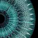 IRIS : IRIS