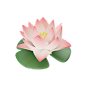 荷花 高质量花卉花朵PNG免抠图_5.-Lotus