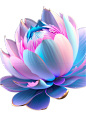 花花2