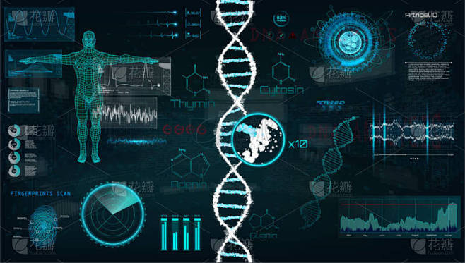 Dna 图表接口界面, 矢量图形, 医学, 心脏, bpm, 身体扫描, dna, 图表, 图表,