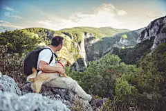 狗,徒步旅行,山顶,旅行者,夏天