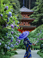 反向旅游～敢不敢6月雨季去京都 - 小红书