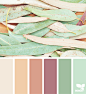 Design Seeds : Design Seeds color palettes ... posted daily for all who love color.