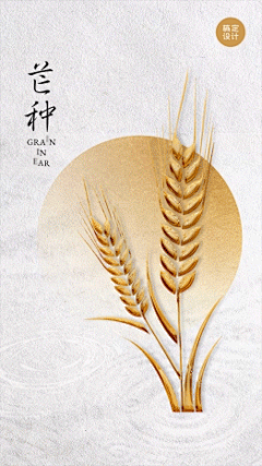 芒种节气祝福视频