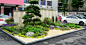 芦苇植物景观设计研究中心