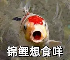 锦鲤粤语表情包的搜索结果_百度图片搜索