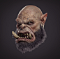 Orc head portrait, smile _z : In 2018 to refuel